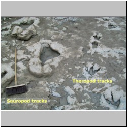 100_0817 (2009-27-07)m-lab.jpg